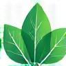 Produits nettoyage écologique
