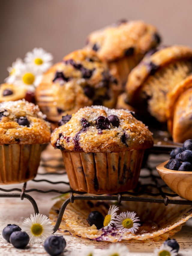 Banana-Blueberry-Muffins-12333-1-of-1